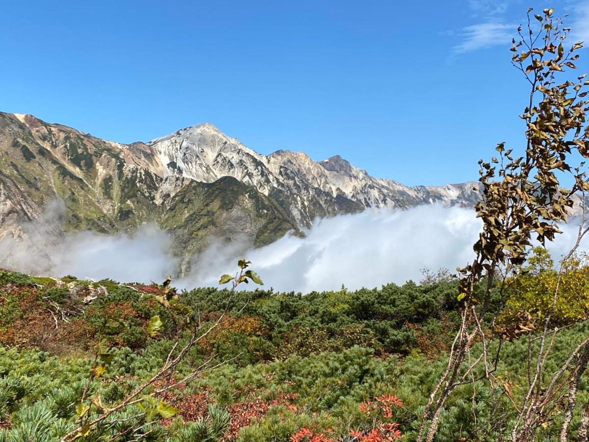 Bed and Breakfast Hareruya Hakuba Esterno foto